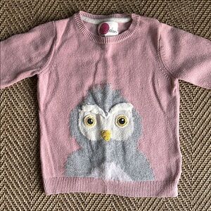 Mini Boden Owl Sweater (5-6Y)